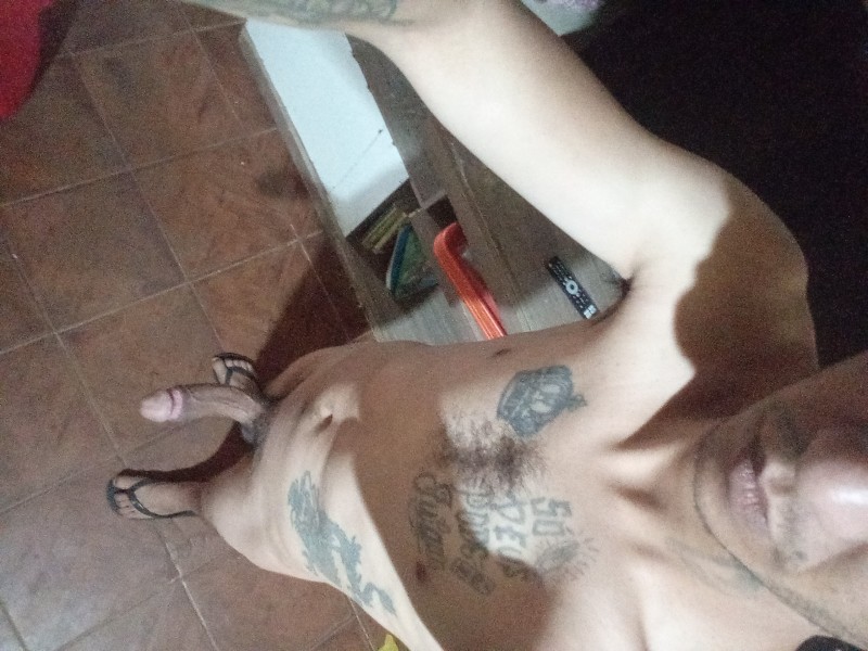 17623657380235544455922317053213 17623657380235544455922317053213