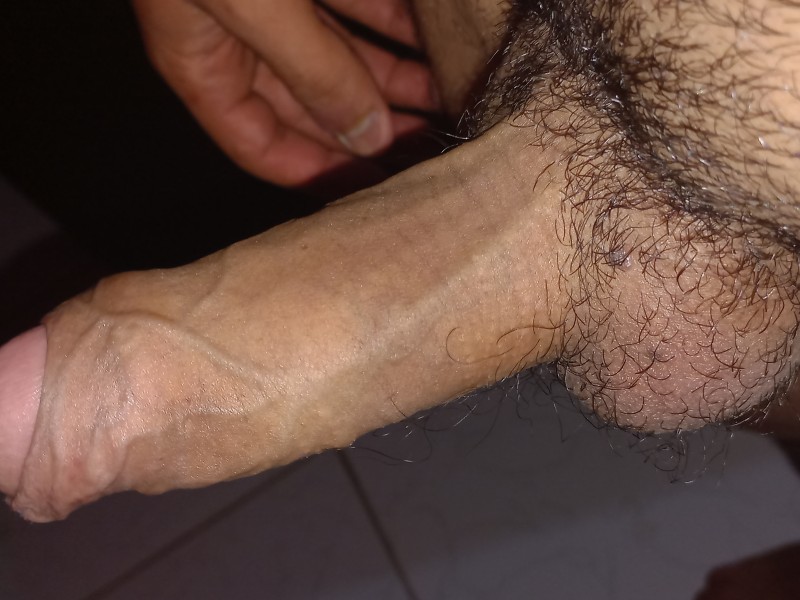 20221207115118 20221207115118