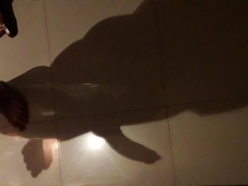 20180309234820 20180309234820