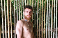 Murilo Novaes