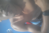 Bem dotado