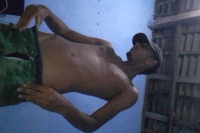 Lobinho