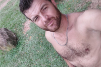 Gato loiro 33