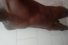 Pretinho