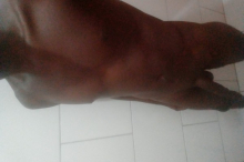 Pretinho