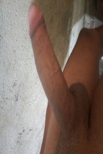 Barreto20cm