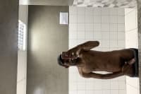 Caio Cyrino