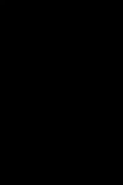 Biellzinho