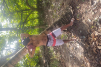 Moreno jambo