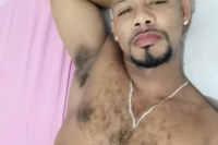 Gato preto