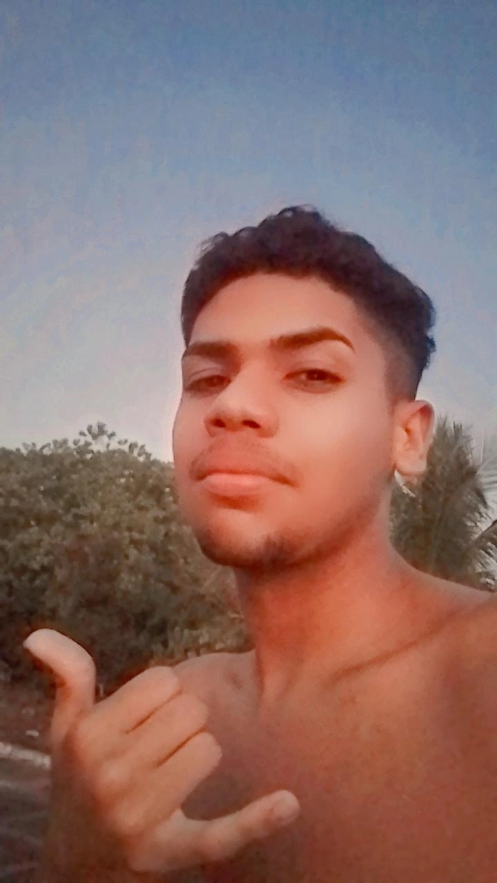 Artur silva