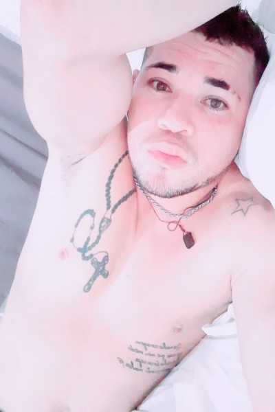 livre pra tudo